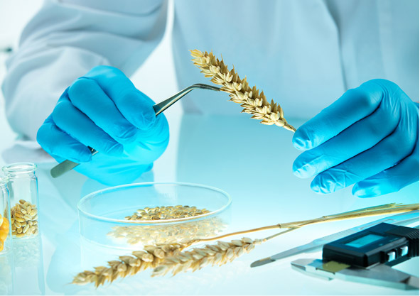 課題創出連携研究