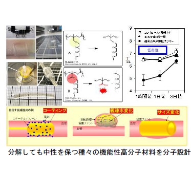 安全性が高く種々の機能性を有する分解性高分子
