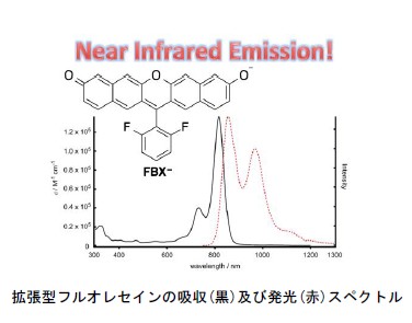 完全な近赤外領域発光を６％の量子収率で達成