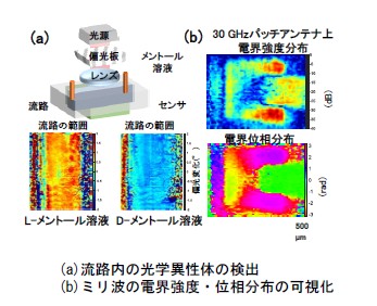 偏光検出を実現