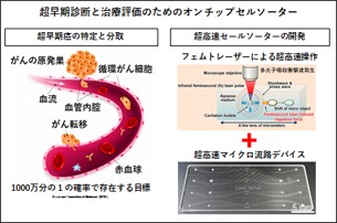循環がん細胞の起因と本研究の着目点