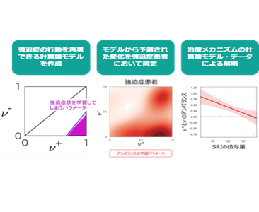 シミュレーション結果、患者の実験結果、治療効果の検証