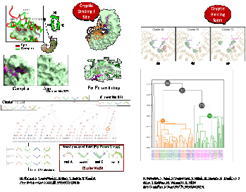 創薬標的タンパク質の構造解析