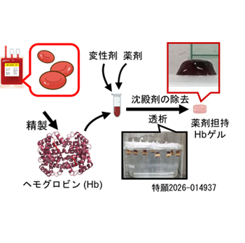 薬剤担持Hbゲルの作製方法