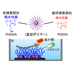 星形ポリマーによる防汚コーティング